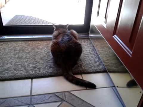 Diedra, the bird whisper