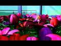Barbie Thumbelina DVD Trailer
