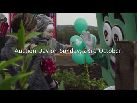 Build for a Cure 2016 - Vignette #4