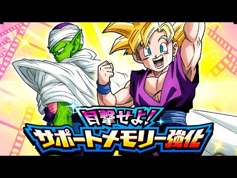 Behold Support Memory Boost Team