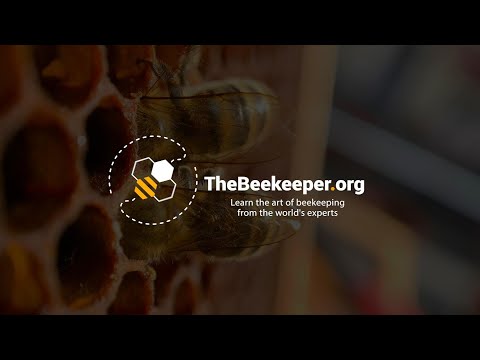 TheBeekeeper.org - Learn the art of beekeeping from the world's experts