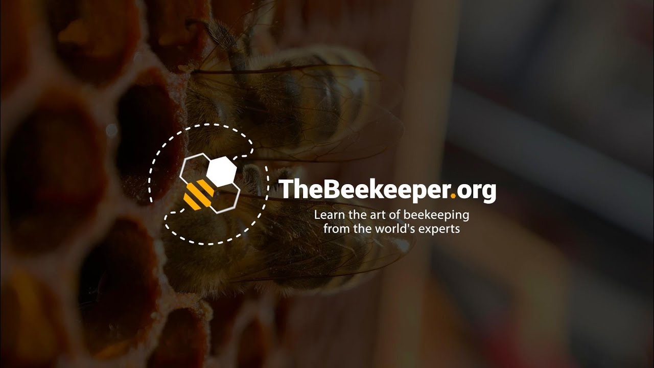 TheBeekeeper.org - Learn the art of beekeeping from the world's experts