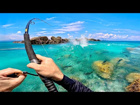 I’ve Never Seen So Many Fish!