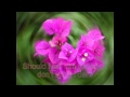 "FORBIDDEN GAMES" (ROMANCE) SUNG BY ...