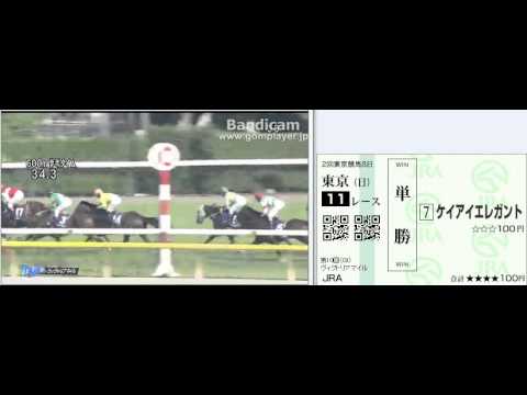 【競馬】　2015.5.17　ヴィクトリアマイル（ＧⅠ）　ストレイトガール