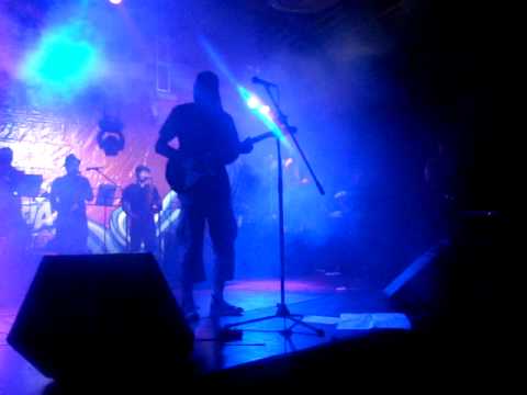 Los Tachos en Concierto