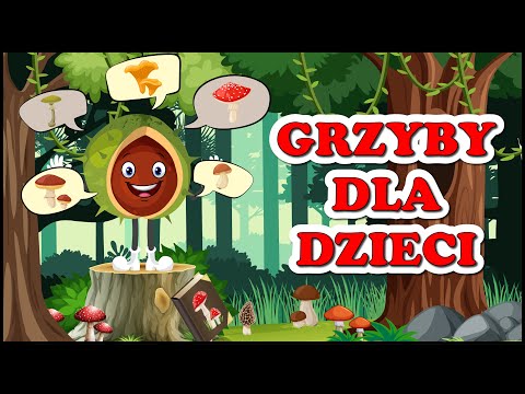 Grzyby dla dzieci 🍄 film edukacyjny o jesieni 🍂