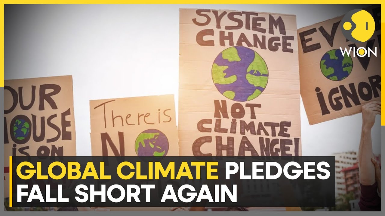 Amazon To Host World's Biggest Climate Talks | Spotlight On Amazon & Deforestation | WION