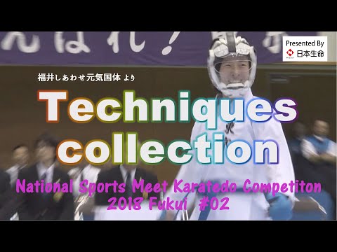Super Techniques excerpt from 2018 Fukui Kokutai #2　福井国体空手技集②
