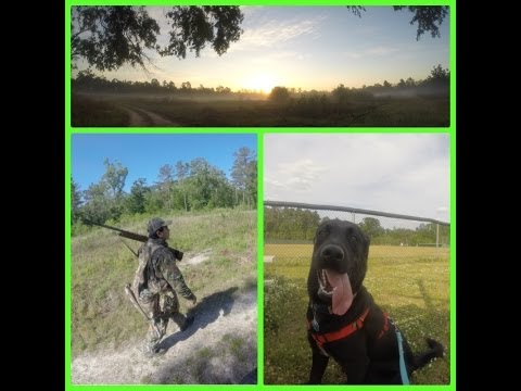 The outdoors - April 2014 short vlog