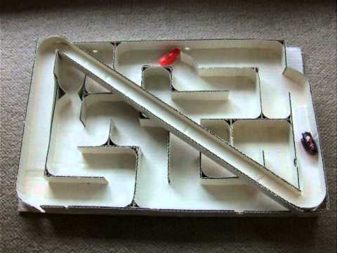 HEXBUG nano in the labyrinth    Final version