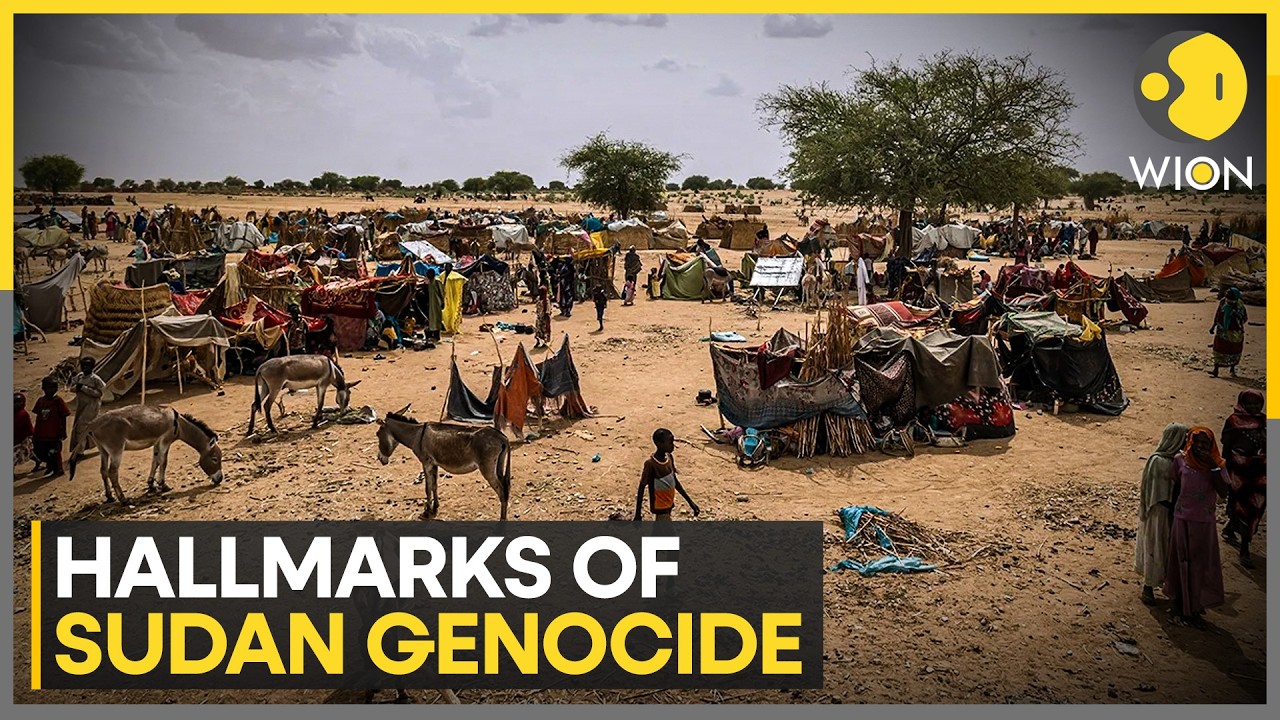 Sudan Conflict: UN Probe Finds RSF Inflicted Three Days of 'Absolute Horror' | WION News