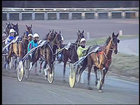 Trotto 27/12/2016 - 3ª corsa