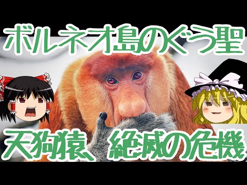 ボルネオ島の地形図。