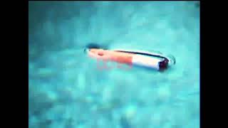Shezi Rosewood - “Optional” Trailer