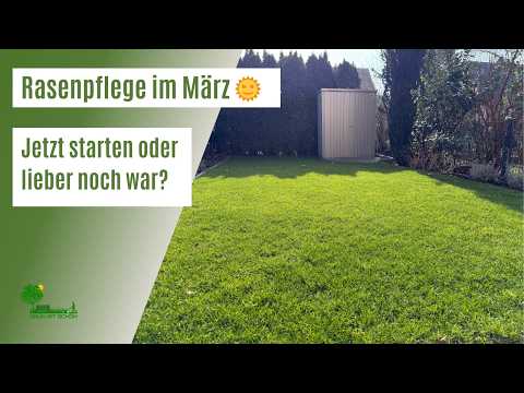 Rasensaison 2026 🌞 | Rasenpflege im März | Jetzt starten oder noch warten? | Vermeide diese Fehler!