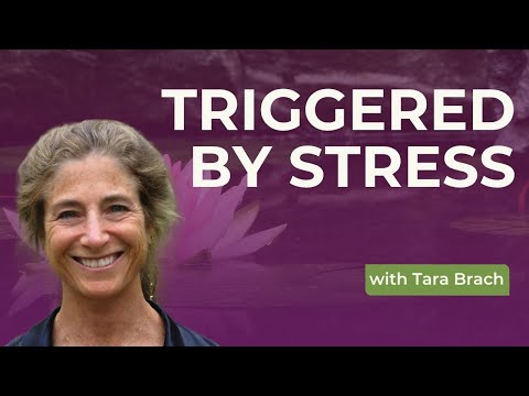 Learning to Respond Not React, with Tara Brach