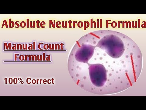 Absolute neutrophil count formula | Neutrophil count | Neutrophil normal range