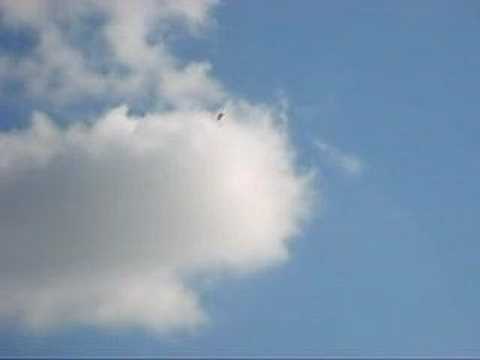 beheheheeton..Petresti!!!!!