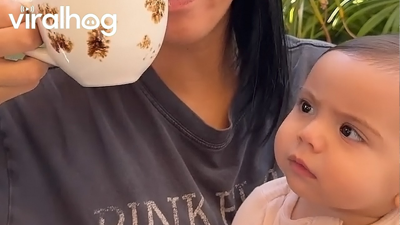 Babies Literally Copy Everything You Do || ViralHog