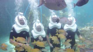 SeaVenture underwater helmet tour at SeaWorld Orlando's Discovery Cove