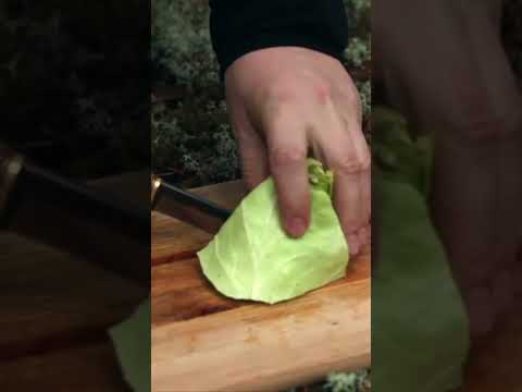 Scandinavian Forest Kitchen: 7 Primus Stove, Oil Lamp & Dinner Under Whispering Pines