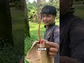 Do You Know The Process Of Picking Durian Shorts