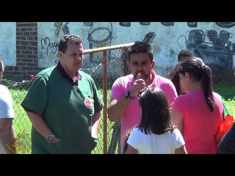 Ação Social no Bairro da Palmeira com Associação dos Moradores de Palmeira