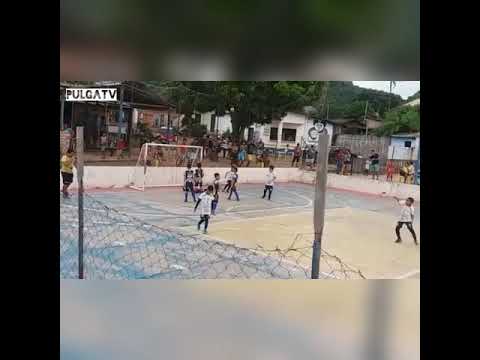 💙💛PULGUINHA FUTSAL CLUBE⚽