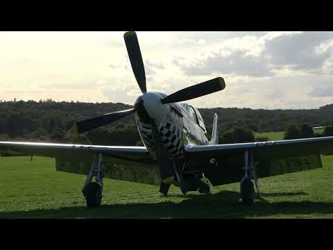 P-51 Mustang "Frances Dell" – Incredible Display & Sound at OTT Hahnweide 2025 [4K]