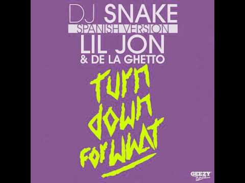 Turn Down For What Feat Lil Jon Dj Snake Last Fm
