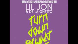 Turn Down For What Spanish Remix - De La Ghetto