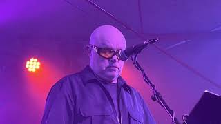 A Flock of Seagulls - Transfer Affection ( Live )