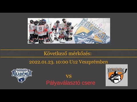 U12 Sárga bajnokság Veszprémi Jéglovagok - IOGJA B