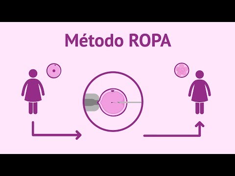 ¿Qué es el método ROPA? - FIV con recepción de óvulos de la pareja