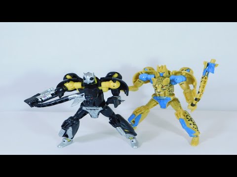 Transformers Kingdom Shadow Panther Stop Motion