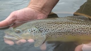 Fly Fishing Montana: Ruby River in Summer - Trailer for Full Show on Amazon Video Season 4