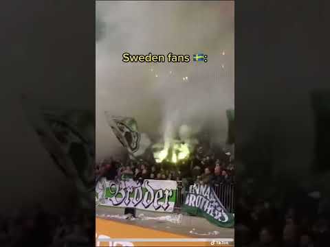 Swedish fans🥶