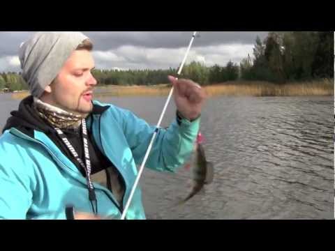 Opastusvideo - Ahvenen kalastusta heittoperholla - Tekniikat - Ahven - Spintube - Eumer