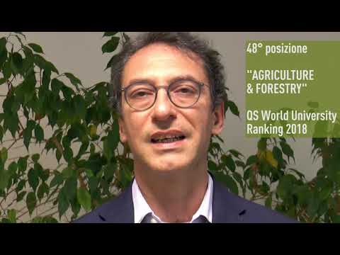 Giovanni Molari presenta il DISTAL