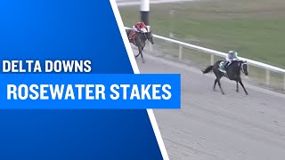 2025 $100,000 Rosewater Stakes at Delta Downs