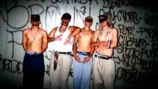 East Coast Gangs The Brown Pride Street Gang