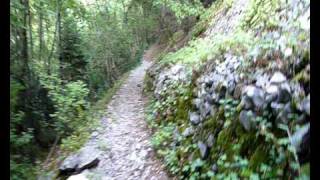 The Raveonettes Trentemoller Joy Division She&#39;s Lost Control