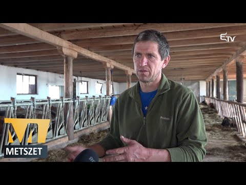 Metszet: gazdapályázatok ideje – 2021. november 2.