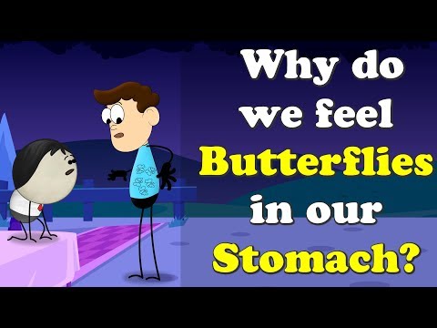 なぜ私たちは胃の中で蝶々を感じるのか？| 蝶々が胃の中にいるのはなぜ？ (Why do we feel Butterflies in our Stomach? | #aumsum)