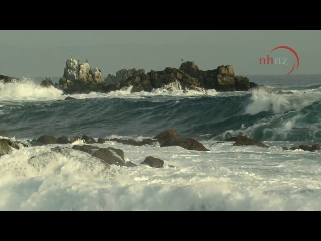 Big Pacific: Passionate, Voracious, Mysterious, Violent, by Rebecca Tansley