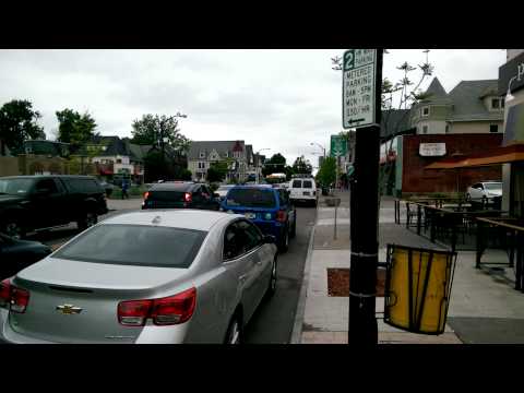 A Glimpse of Buffalo's Elmwood Avenue