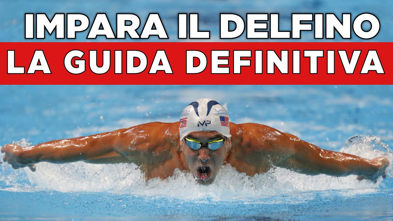How to LEARN to swim DOLPHIN easily #dolphin #butterfly