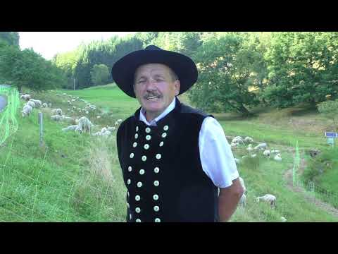 2017 08 03 Schäfer Klaus Kobold im Eutergrund bei Bullau  txt 13min