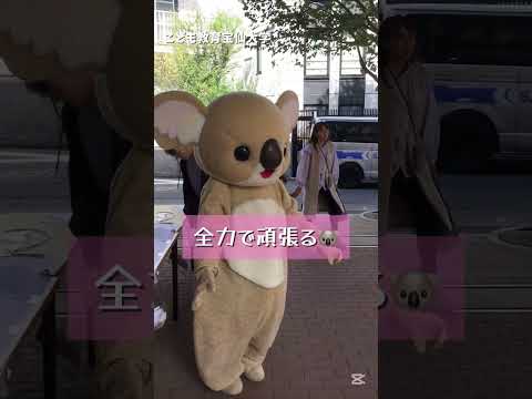幼児教育学科 【宝仙祭2024】こどもと楽しむ学園祭！保育者をめざす学生が一致団結😊🎉#shorts #保育士 #幼稚園教諭 #こども教育宝仙大学 #大学祭 #学園祭